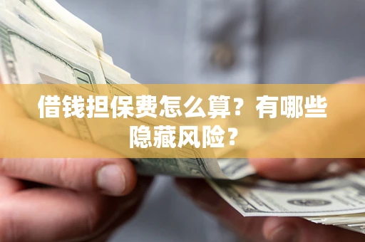 武汉借钱担保费怎么算？有哪些隐藏风险？