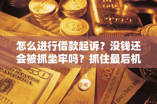 武汉怎么进行借款起诉？没钱还会被抓坐牢吗？抓住最后机会！