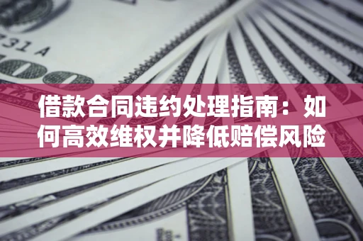 武汉借款合同违约处理指南：如何高效维权并降低赔偿风险？