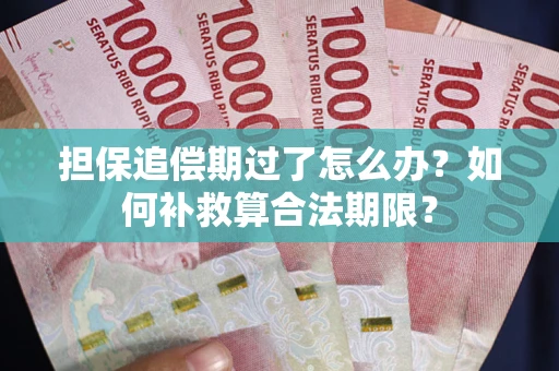 武汉担保追偿期过了怎么办？如何补救算合法期限？