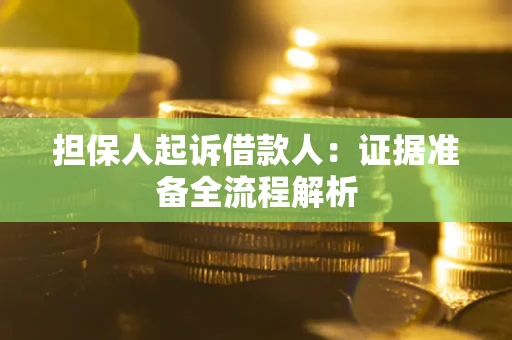 武汉担保人起诉借款人：证据准备全流程解析