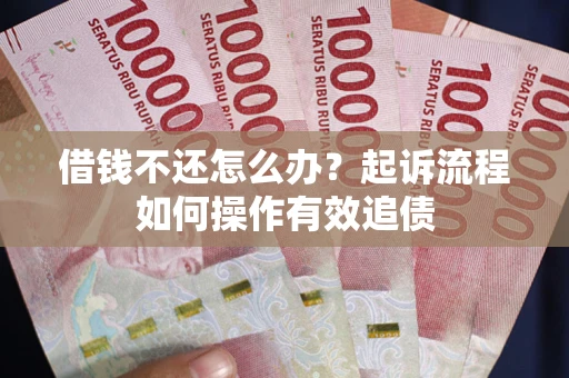 武汉借钱不还怎么办？起诉流程如何操作有效追债