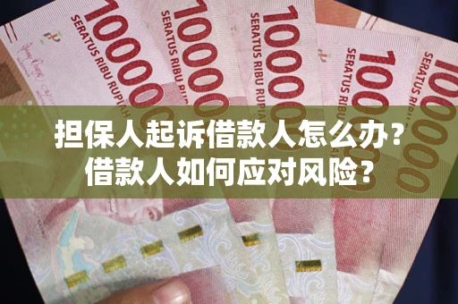 武汉担保人起诉借款人怎么办？借款人如何应对风险？