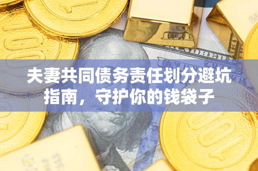 武汉夫妻共同债务责任划分避坑指南，守护你的钱袋子