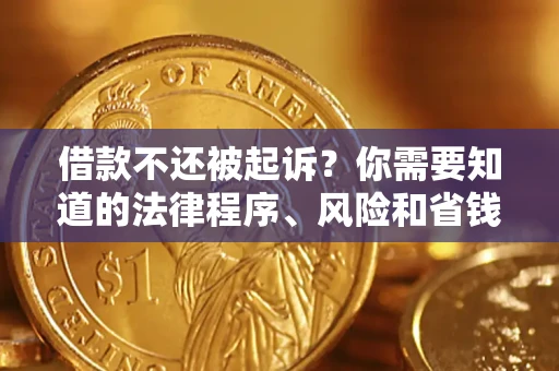 武汉借款不还被起诉？你需要知道的法律程序、风险和省钱技巧